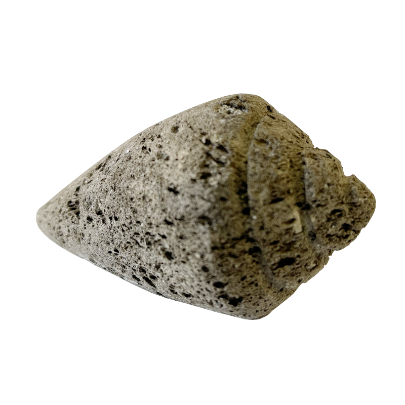 pumice stone - coneshell