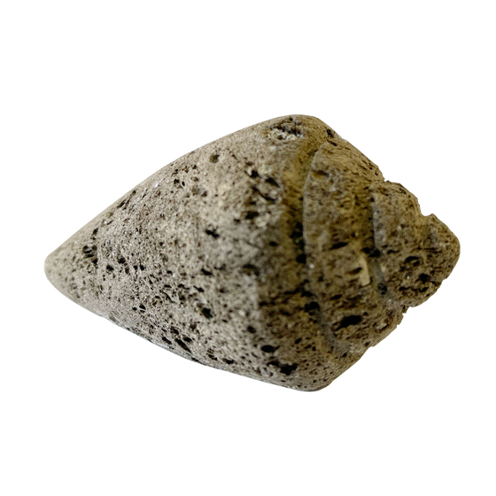 pumice stone - coneshell